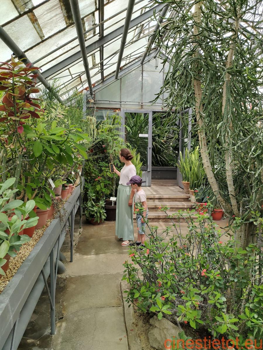 Gradina_botanica_IAsi (8)