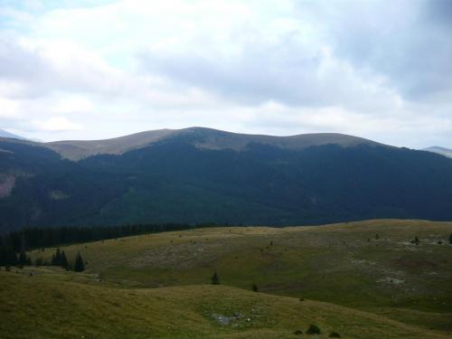 P1000101