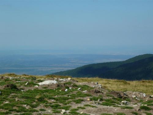 P1000125